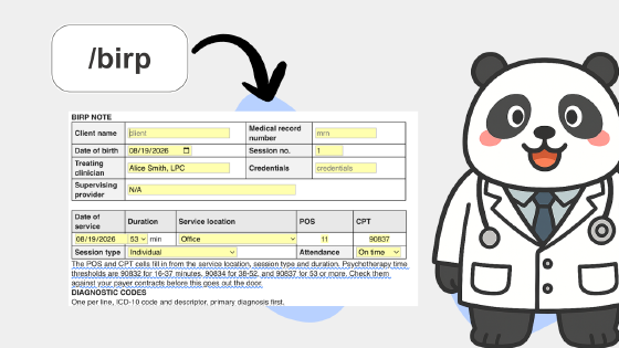 BIRP Progress Notes template cover