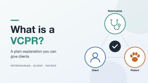 Featured Image for What is a VCPR? A Plain Explanation You Can Give Clients